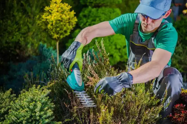 landscaping services Benton Harbor